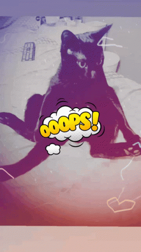 Ooops Fart GIF - Ooops Fart Cat GIFs