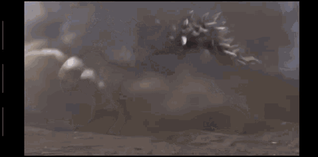 Anguirus Kaiju GIF - Anguirus Kaiju Godzilla GIFs