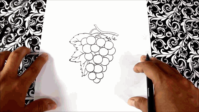 a person is drawing a bunch of grapes on a piece of paper with a pen