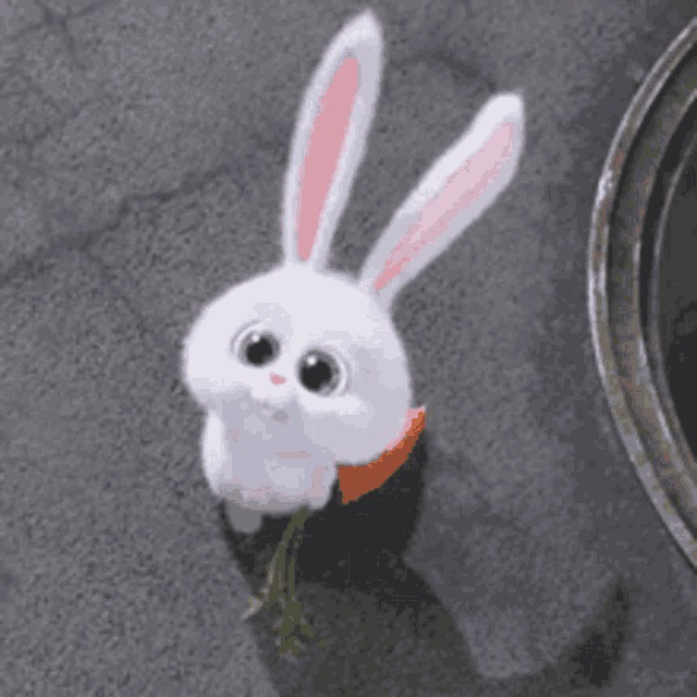 a white rabbit is holding a carrot in its mouth and eating it .