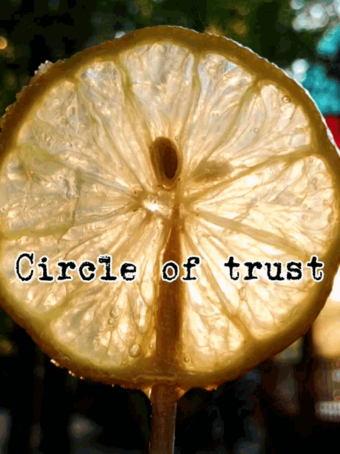 Circle Of Trust Aidan Gallagher GIF - Circle Of Trust Aidan Gallagher Lemon Cult GIFs