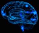 Brain Electricity GIF - Brain Electricity Cerebral Cortex GIFs