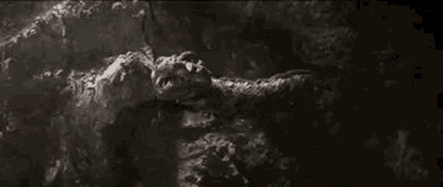 Godzilla Destroy All Monsters GIF - Godzilla Destroy All Monsters Manda GIFs