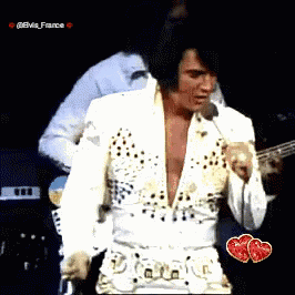 Elvis Presley King GIF - Elvis Presley King Graceland GIFs