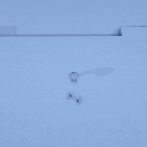 a couple of polar bears are standing in the snow near a large body of water .