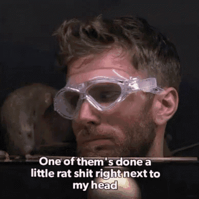 Joel Dommett GIF