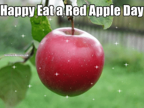 National Eat A Red Apple Day Happy Eat A Red Apple Day GIF - National Eat A Red Apple Day Eat A Red Apple Day Happy Eat A Red Apple Day GIFs