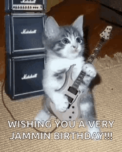 a kitten is playing a guitar in front of a stack of marshall amplifier .
