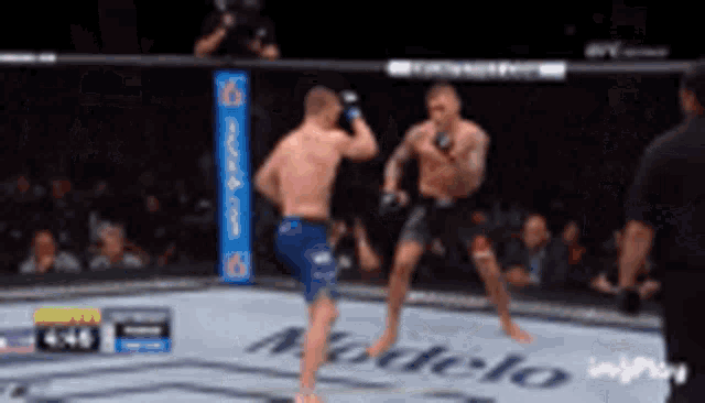 two men are fighting in a boxing ring with the word modelo on the ground