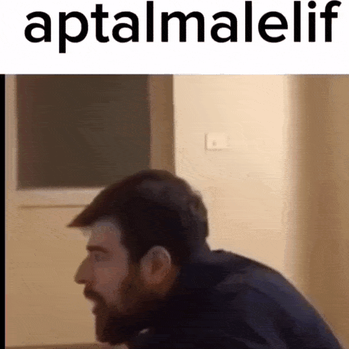 a man with a beard is sitting in front of a window with the words aptalmalelif written above him .