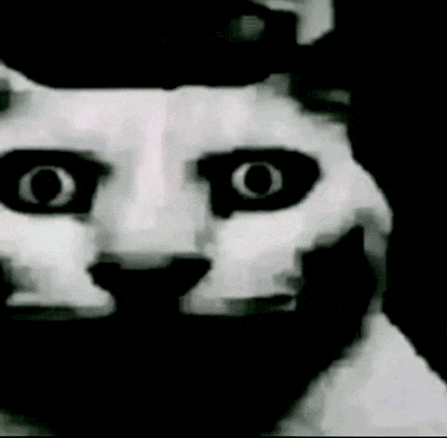 a black and white photo of a cat 's face