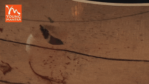 a young mantra logo is displayed above a bloody piece of wood