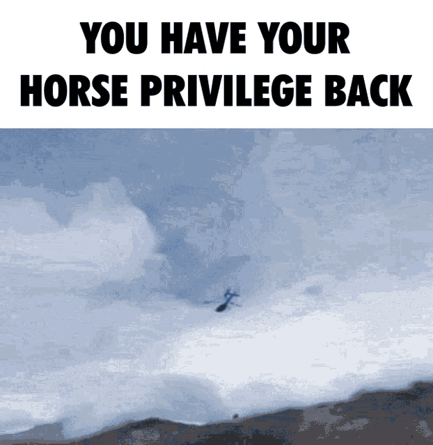 Horse Privilege GIF - Horse Privilege GIFs