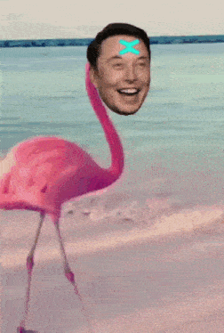 Elon Musk X GIF - Elon Musk X Xportal GIFs