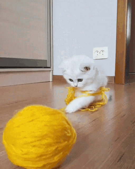 Kitty Cute GIF - Kitty Cute Yarn GIFs