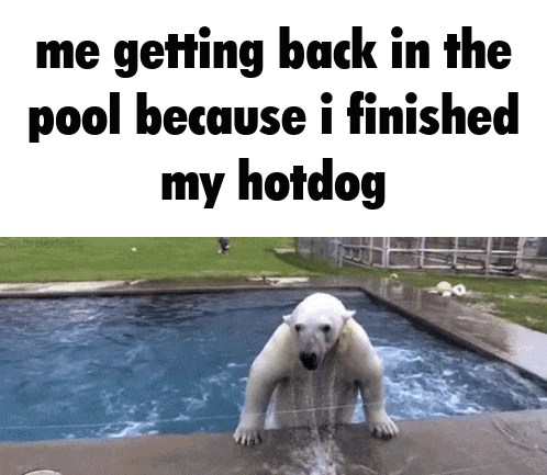 a polar bear is standing on the edge of a swimming pool .