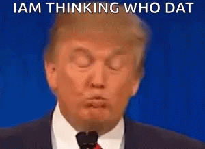 Who Dat Trump GIF - Who Dat Trump Donald Trump GIFs