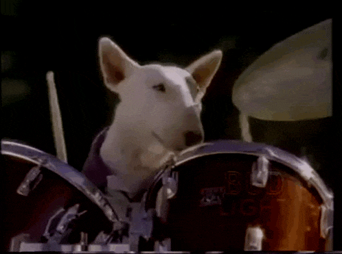 a dog is playing drums with a bud light sign behind him