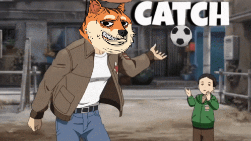 a man with a doge on his head is playing with a soccer ball with the words catch behind him