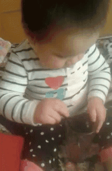 a baby girl is sitting on a couch playing with a toy .