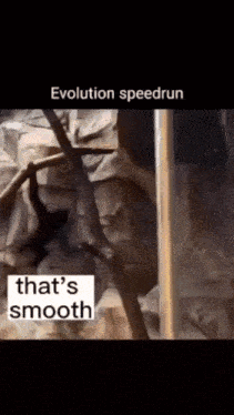 evolution speedrun that 's smooth that 's smooth that 's smooth that 's smooth that 's smooth