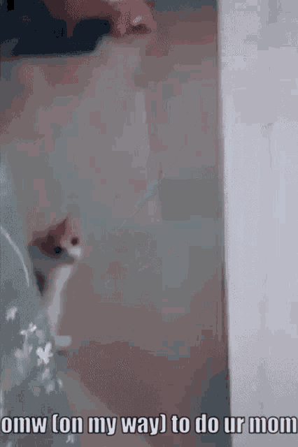 a cat is sitting on the floor next to a couch and says omw ( on my way ) to do ur mom