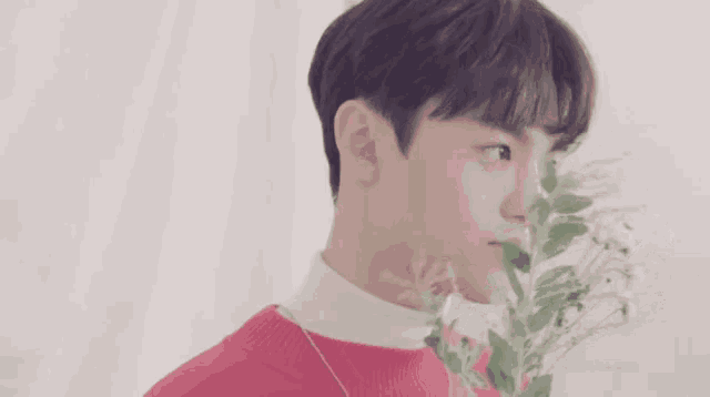 a young man in a pink sweater is holding a bouquet of white flowers