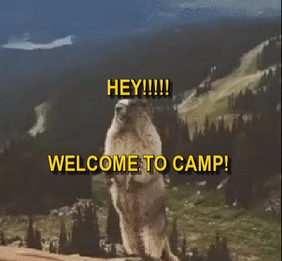 Camp Hey GIF - Camp Hey Welcome To Camp GIFs