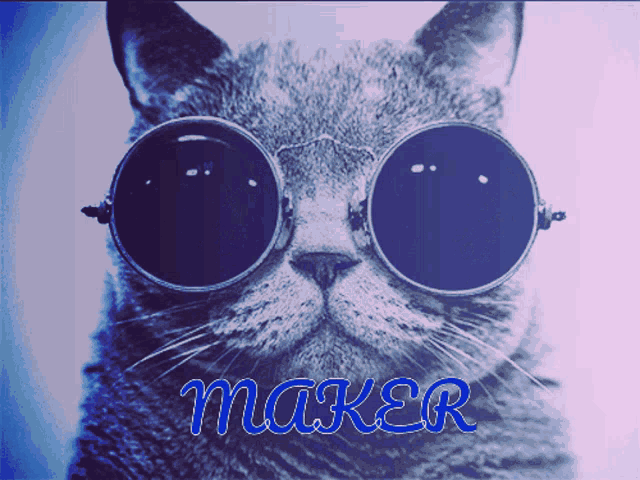 a cat wearing sunglasses with the word maker written on the bottom