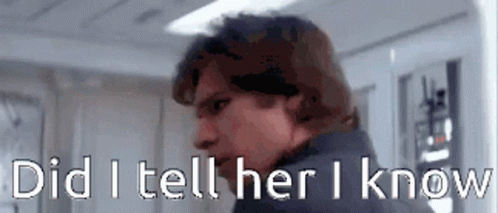 Han Solo Tell Her GIF - Han Solo Tell Her I Know GIFs