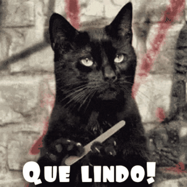 a black cat is holding a nail file in its paws and the words que lindo are below it