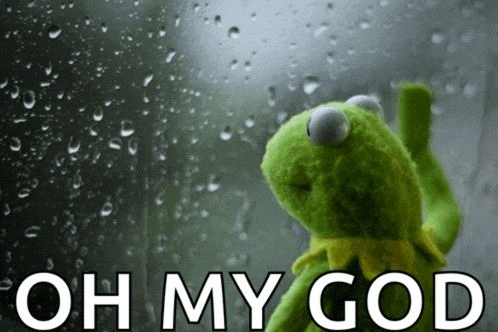 kermit the frog looking out a window with the words oh my god