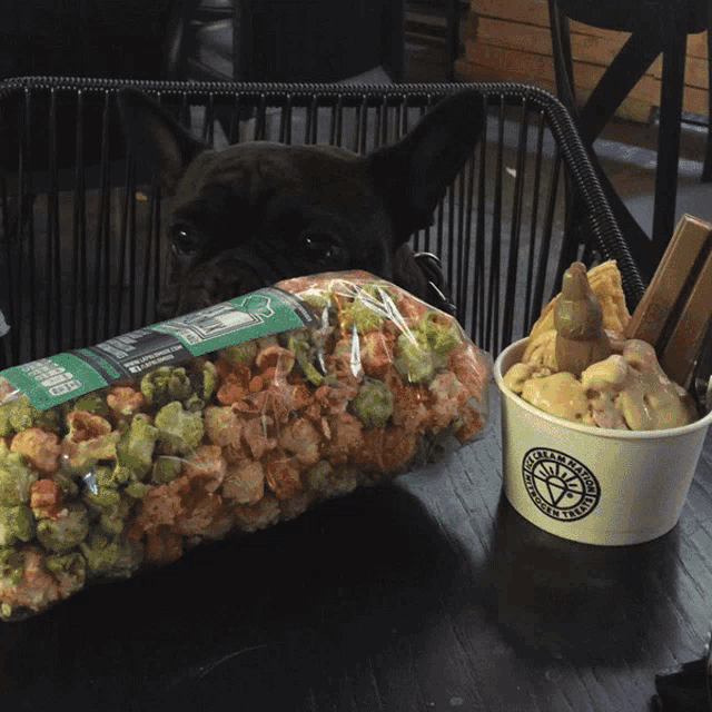 a dog sitting next to a bag of popcorn and a cup of ice cream