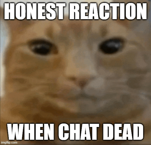 a close up of a cat with the words honest reaction when chat dead below it