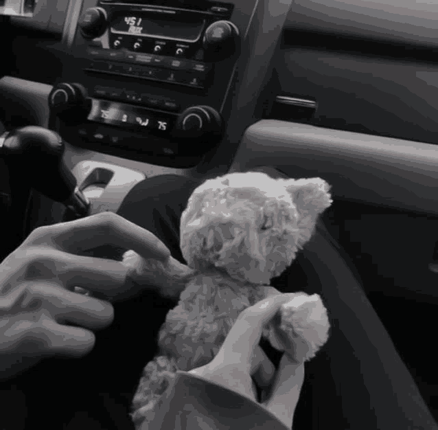 a person is holding a teddy bear in front of a car radio that says 47.5