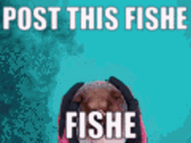Le Fishe Fishe GIF - Le Fishe Fishe Pufferfish GIFs