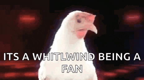 a white chicken with the words " it 's a whiltwind being a fan " written below it