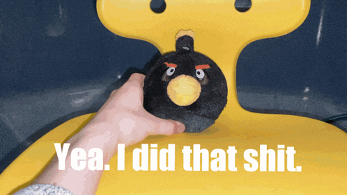 a person is holding a stuffed black angry bird with the words yea i did that shit below it
