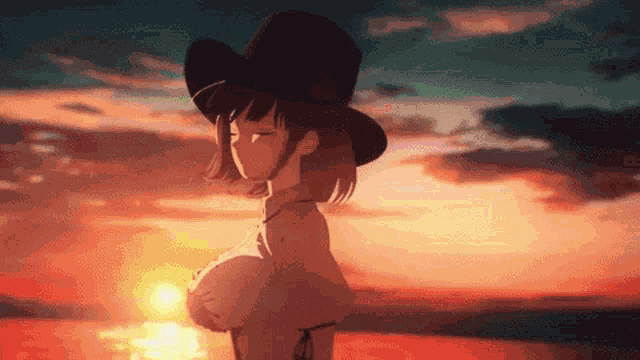 a girl in a bikini and cowboy hat is standing in front of a sunset .