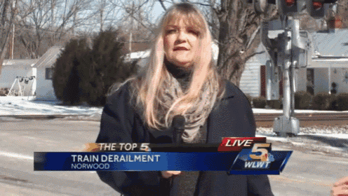 a woman is standing in front of a sign that says train derailment norwood