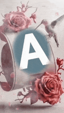 the letter a is surrounded by roses and a bird