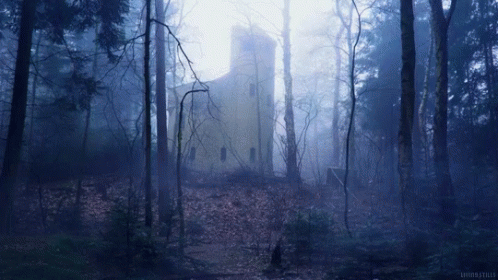 Forest Lonely GIF - Forest Lonely House GIFs