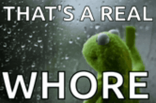 a kermit the frog is looking out a window with the words that 's a real whore below him