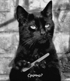 a black cat is holding a nail file in its paws and looking at the camera .