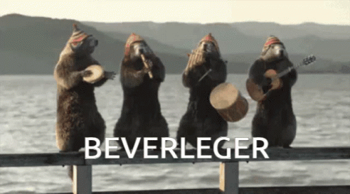 Beaver Beverleger Bever GIF - Beaver Beverleger Bever GIFs