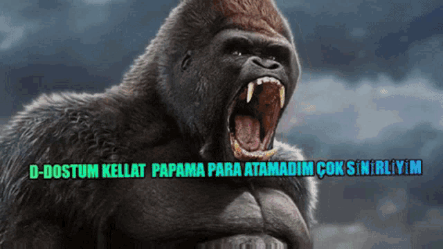 a picture of a gorilla with its mouth open and the words d-dostum kellat papama para atamadim çok sinirliim below it