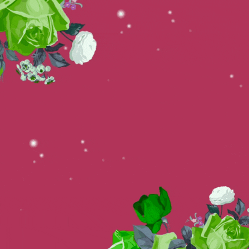 a pink background with green and white flowers and the words " i 'm sorry "