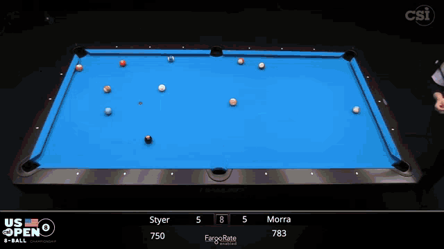 a pool table with a player named sitter