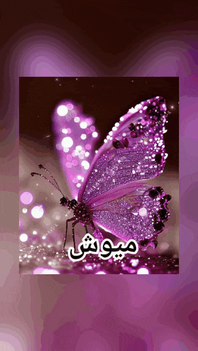 a picture of a purple butterfly with arabic writing behind it
