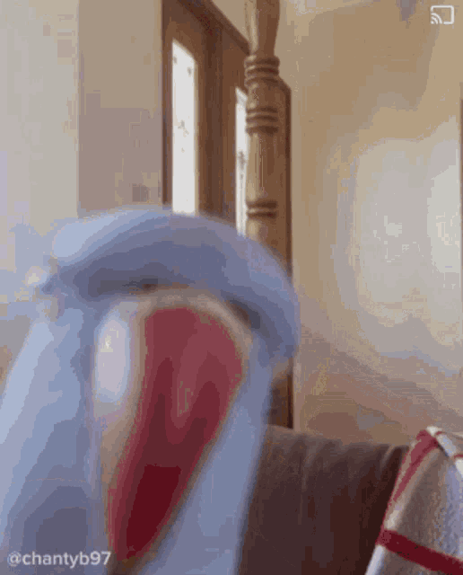 a person is sitting on a couch in front of a door with a staircase in the background ..